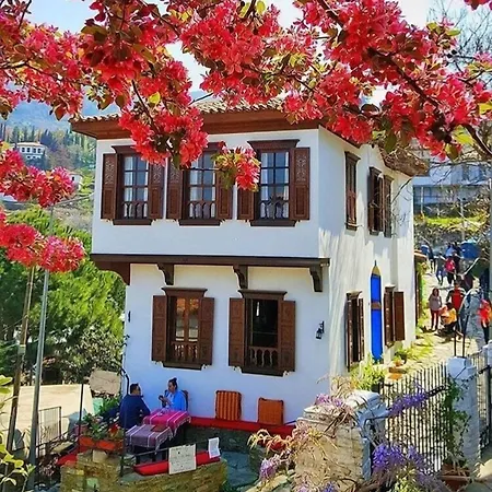 Doktor'un Evi Deluxe Boutique