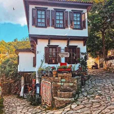 Doktor'un Evi Deluxe Boutique Hotell Sirince