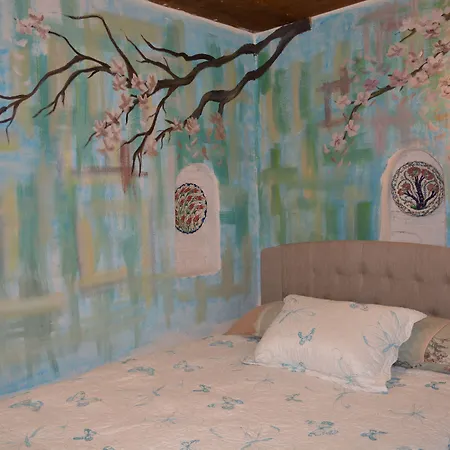 Doktor'un Evi Deluxe Boutique Szálloda 2*