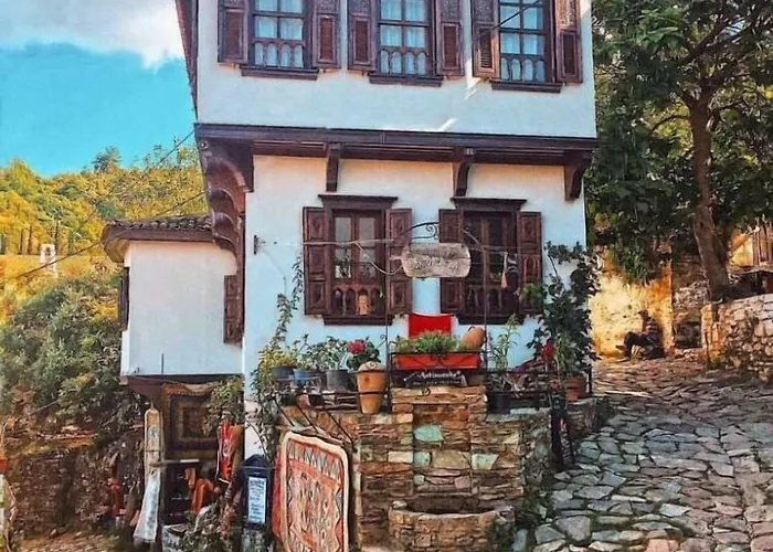Doktor'un Evi Deluxe Boutique Hotel Sirince