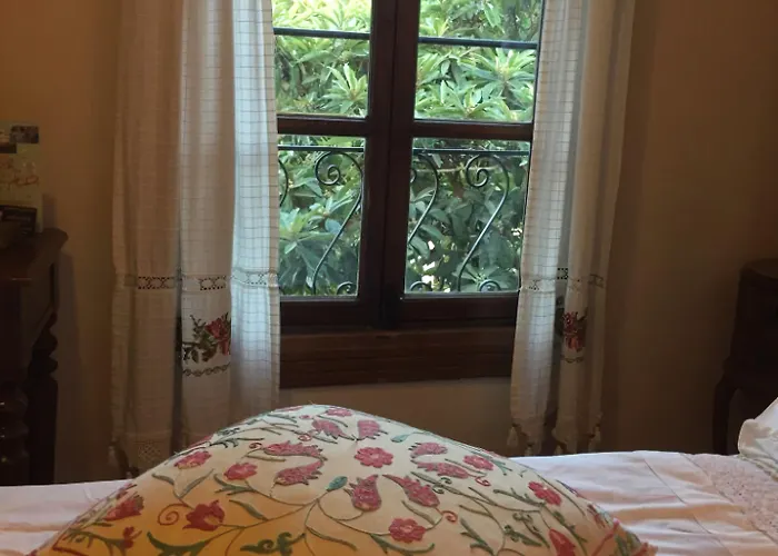 Doktor'un Evi Deluxe Boutique Sirince