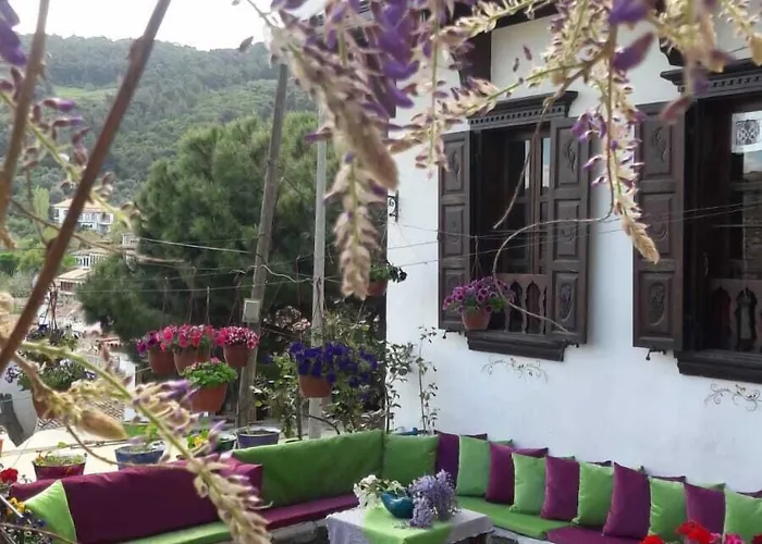 Doktor'un Evi Deluxe Boutique Sirince