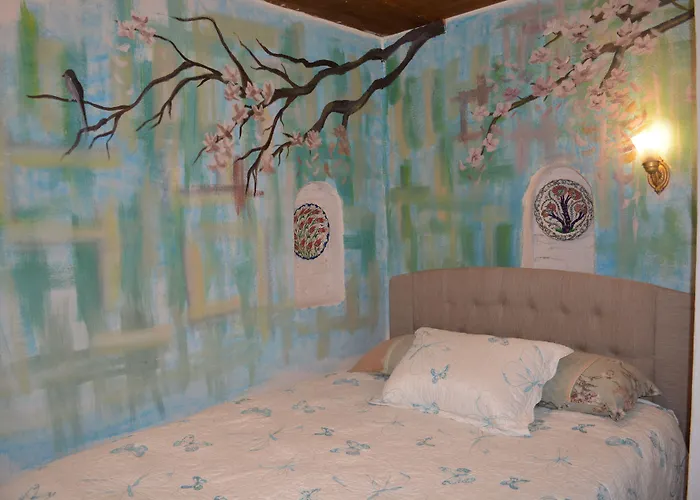 Doktor'un Evi Deluxe Boutique Hotel 2*