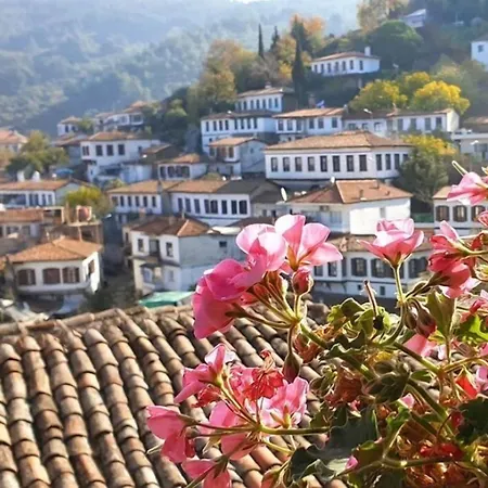 Doktor'un Evi Deluxe Boutique 2* Şirince